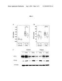 METHOD FOR PREDICTING SUSCEPTIBILITY TO A MENTAL DISORDER diagram and image