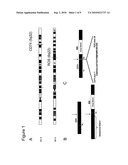 Translocation and Mutant ROS Kinase in Human Non-Small Cell Lung Carcinoma diagram and image