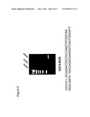 Translocation and Mutant ROS Kinase in Human Non-Small Cell Lung Carcinoma diagram and image