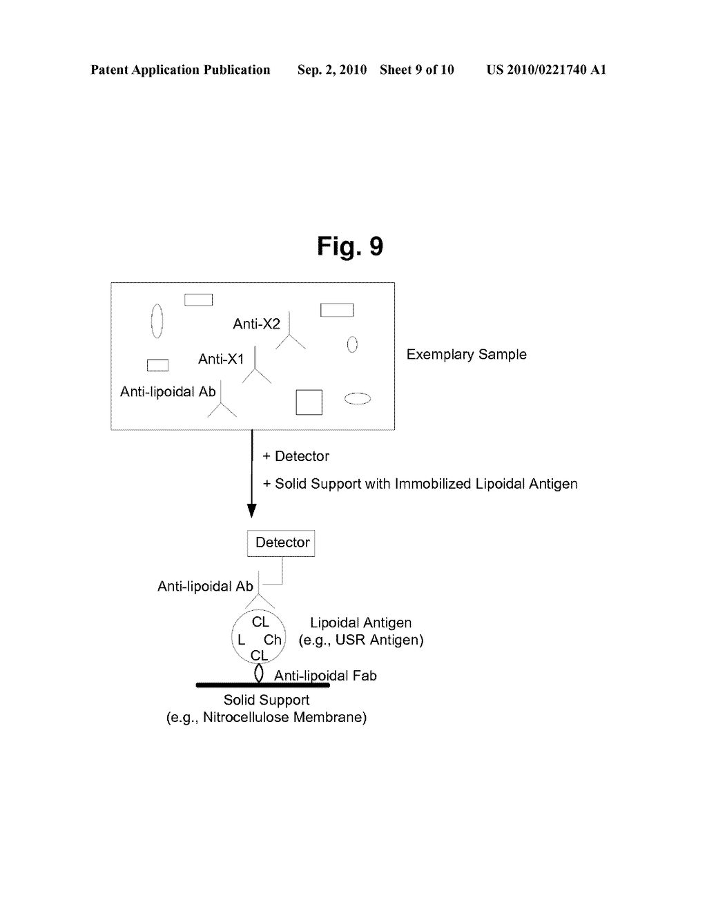 METHODS, IMMUNOASSAYS AND DEVICES FOR DETECTION OF ANTI-LIPOIDAL ANTIBODIES - diagram, schematic, and image 10