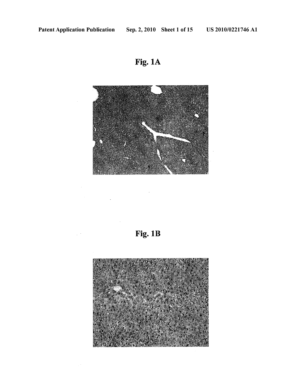 COMPOSITIONS AND METHODS FOR THE TREATMENT OF DISEASE - diagram, schematic, and image 02