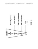 Biomarkers and methods for determining sensitivity to epidermal growth factor receptor modulators diagram and image