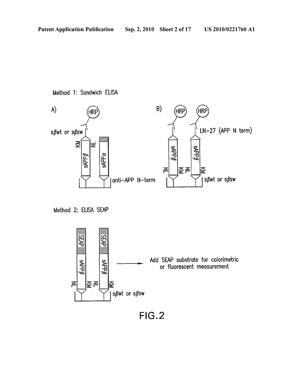 METHODS AND COMPOSITIONS FOR DETECTING AND QUANTIFYING sAPPbeta - diagram, schematic, and image 03
