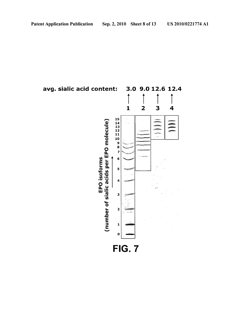 Methods to obtain recombinant proteins with increased sialylation from cells that express adenovirus E1A protein, and proteins obtained thereby - diagram, schematic, and image 09