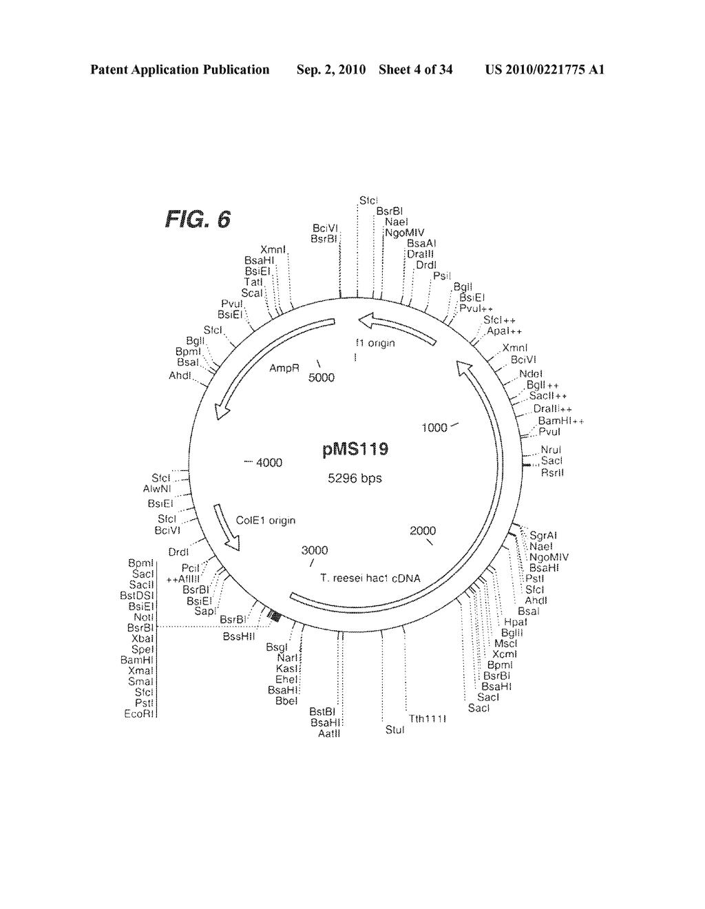 INCREASED PRODUCTION OF SECRETED PROTEINS BY RECOMBINANT EUKARYOTIC CELLS - diagram, schematic, and image 05