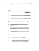 Isothermal Strand Displacement Amplification Using Primers Containing a Non-Regular Base diagram and image