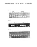 Isothermal Strand Displacement Amplification Using Primers Containing a Non-Regular Base diagram and image