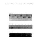 CYCLIC REVERSE TRANSCRIPTION METHOD diagram and image