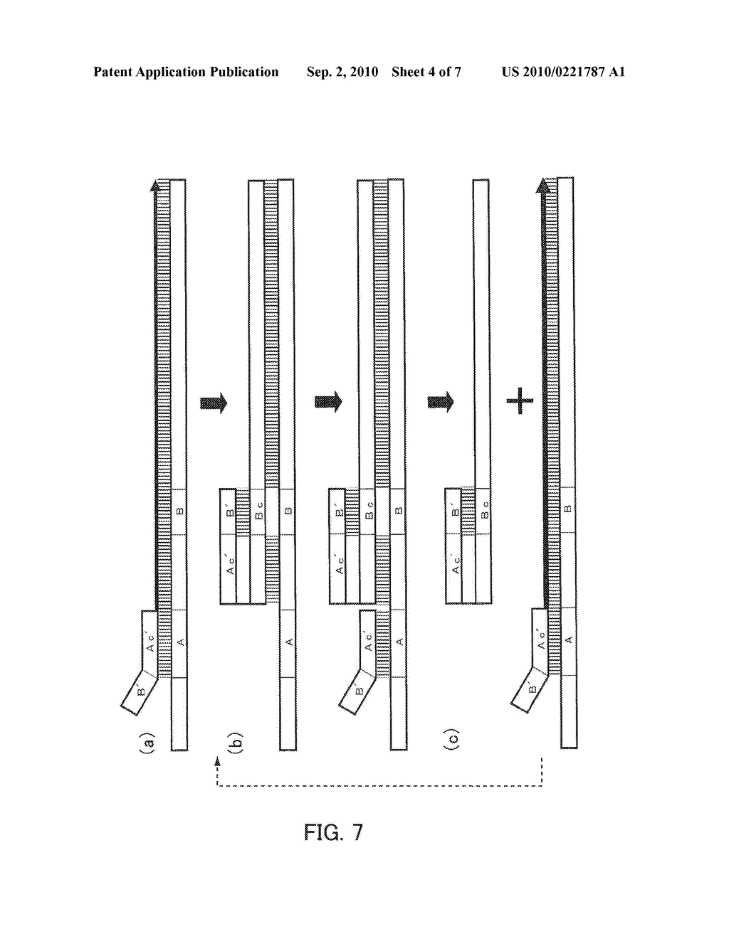 ISOTHERMAL AMPLIFICATION METHOD AND DNA POLYMERASE USED IN THE SAME - diagram, schematic, and image 05