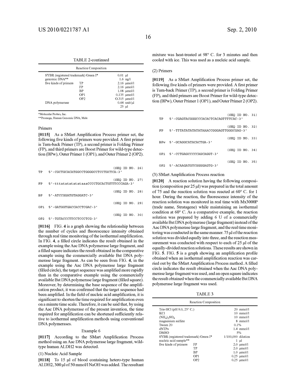 ISOTHERMAL AMPLIFICATION METHOD AND DNA POLYMERASE USED IN THE SAME - diagram, schematic, and image 24
