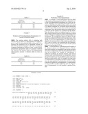 METHOD FOR PRODUCING BETA-AMINO ACID diagram and image