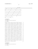 YEAST WITH INCREASED BUTANOL TOLERANCE INVOLVING A MULTIDRUG EFFLUX PUMP GENE diagram and image