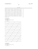 YEAST WITH INCREASED BUTANOL TOLERANCE INVOLVING A MULTIDRUG EFFLUX PUMP GENE diagram and image