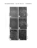 Media for culturing stem cells diagram and image