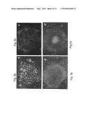 Media for culturing stem cells diagram and image