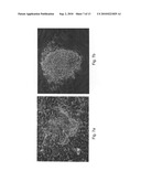 Media for culturing stem cells diagram and image