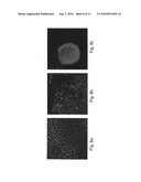 Media for culturing stem cells diagram and image