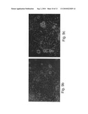 Media for culturing stem cells diagram and image