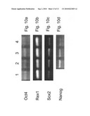 Media for culturing stem cells diagram and image