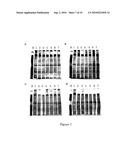 Device and Method for Ambient Storage of Fresh/Frozen Tissue Sections Via Desiccation diagram and image