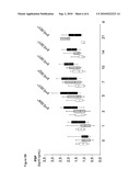 METHOD FOR ASSAYING SEPSIS IN HUMANS diagram and image