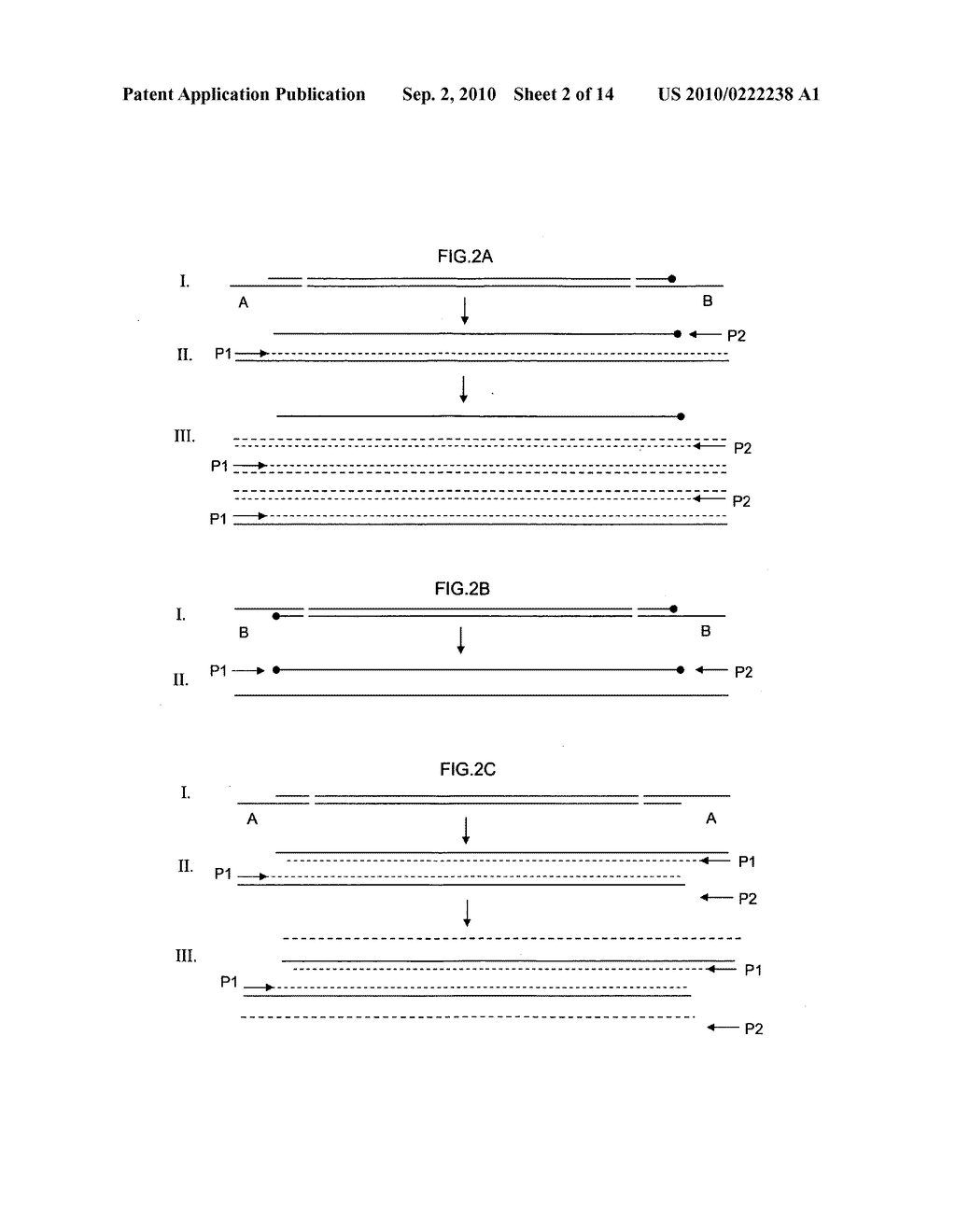 Asymmetrical Adapters And Methods Of Use Thereof - diagram, schematic, and image 03