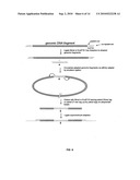 Asymmetrical Adapters And Methods Of Use Thereof diagram and image