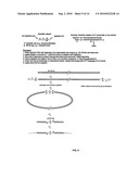 Asymmetrical Adapters And Methods Of Use Thereof diagram and image