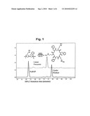 PEPTOID OLIGOMERS, PHARMACEUTICAL COMPOSITIONS AND METHODS OF USING THE SAME diagram and image