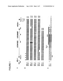 ATAP PEPTIDES, NUCLEIC ACIDS ENCODING THE SAME AND ASSOCIATED METHODS OF USE diagram and image