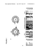 ATAP PEPTIDES, NUCLEIC ACIDS ENCODING THE SAME AND ASSOCIATED METHODS OF USE diagram and image