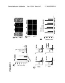 ATAP PEPTIDES, NUCLEIC ACIDS ENCODING THE SAME AND ASSOCIATED METHODS OF USE diagram and image