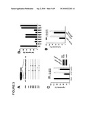 ATAP PEPTIDES, NUCLEIC ACIDS ENCODING THE SAME AND ASSOCIATED METHODS OF USE diagram and image