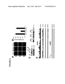 ATAP PEPTIDES, NUCLEIC ACIDS ENCODING THE SAME AND ASSOCIATED METHODS OF USE diagram and image