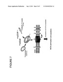 ATAP PEPTIDES, NUCLEIC ACIDS ENCODING THE SAME AND ASSOCIATED METHODS OF USE diagram and image