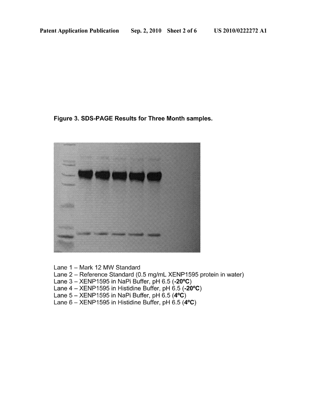 Pharmaceutical Compositions for the Treatment of TNF-Alpha Related Disorders - diagram, schematic, and image 03