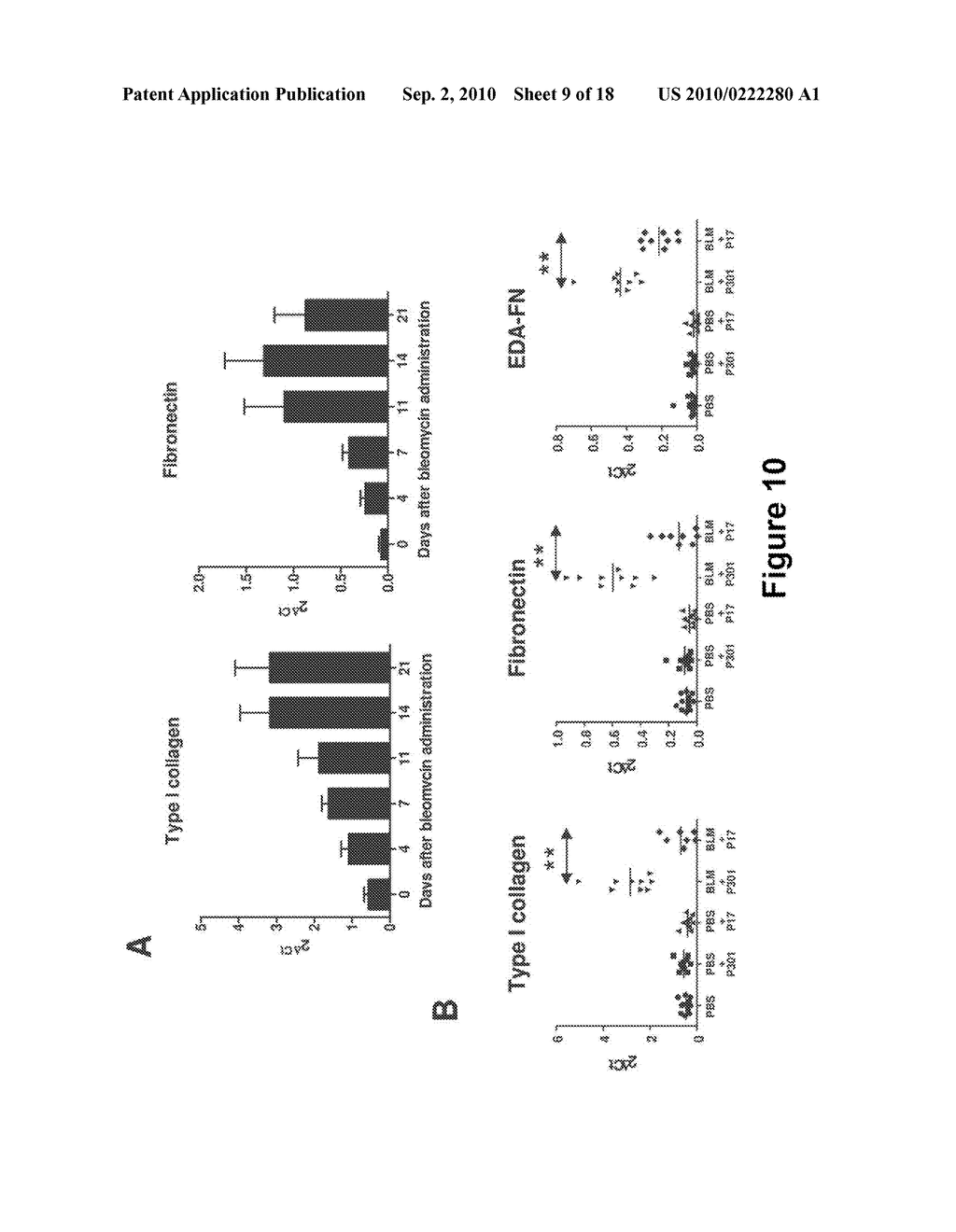 PEPTIDES WITH THE CAPACITY TO BIND TO TRANSFORMING GROWTH FACTOR beta 1 (TGF-beta 1) - diagram, schematic, and image 10