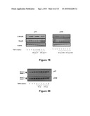 PEPTIDES WITH THE CAPACITY TO BIND TO TRANSFORMING GROWTH FACTOR beta 1 (TGF-beta 1) diagram and image