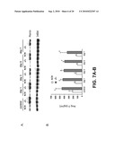 VITAMIN D AND VITAMIN D ANALOGS OR DERIVATIVES AS NEW ANTI-HYPERTENSIVE AGENTS diagram and image