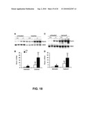 VITAMIN D AND VITAMIN D ANALOGS OR DERIVATIVES AS NEW ANTI-HYPERTENSIVE AGENTS diagram and image