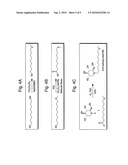 Iminosugars and methods of treating arenaviral infections diagram and image