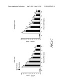 Usage of Baicalein in the Preparation of a Pharmaceutical Composition for the Treatment of Traumatic Brain Injury diagram and image