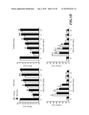 Usage of Baicalein in the Preparation of a Pharmaceutical Composition for the Treatment of Traumatic Brain Injury diagram and image