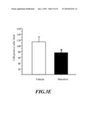 Usage of Baicalein in the Preparation of a Pharmaceutical Composition for the Treatment of Traumatic Brain Injury diagram and image