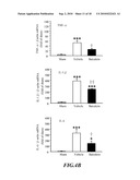 Usage of Baicalein in the Preparation of a Pharmaceutical Composition for the Treatment of Traumatic Brain Injury diagram and image