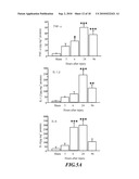 Usage of Baicalein in the Preparation of a Pharmaceutical Composition for the Treatment of Traumatic Brain Injury diagram and image