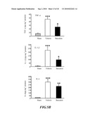 Usage of Baicalein in the Preparation of a Pharmaceutical Composition for the Treatment of Traumatic Brain Injury diagram and image