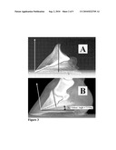 METHOD OF MEASURING QUALITY OF THE EQUINE DISTAL PHALLANGE FROM A LATERAL-MEDIAL RADIOGRAPH diagram and image