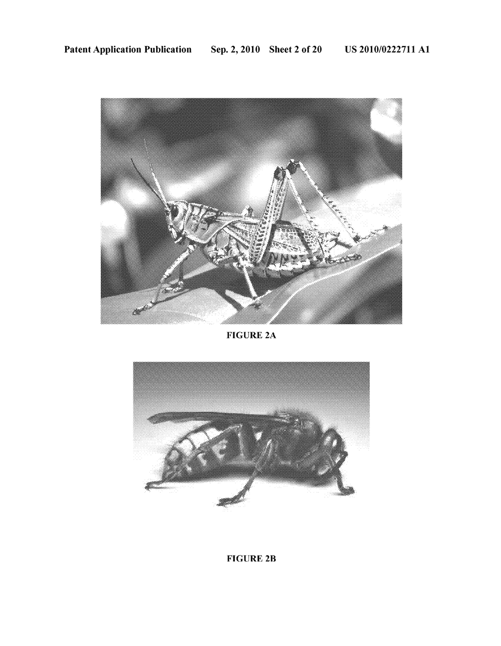 DEVICES, SYSTEMS AND METHODS FOR CAPTURING BIOMECHANICAL MOTION - diagram, schematic, and image 03