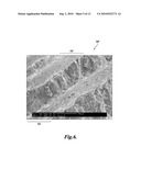 Method for Controlled Electrospinning diagram and image